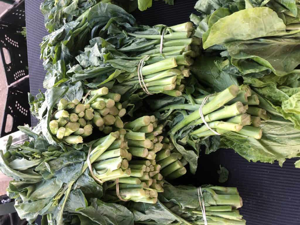 chinese broccoli gailan