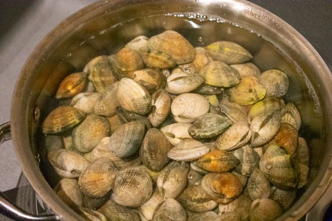 manila clams in pot with water