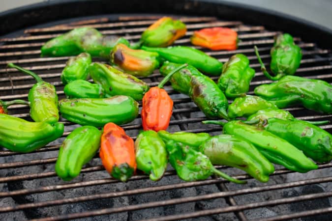 Red and green Shishito Peppers on the grill over charcoal