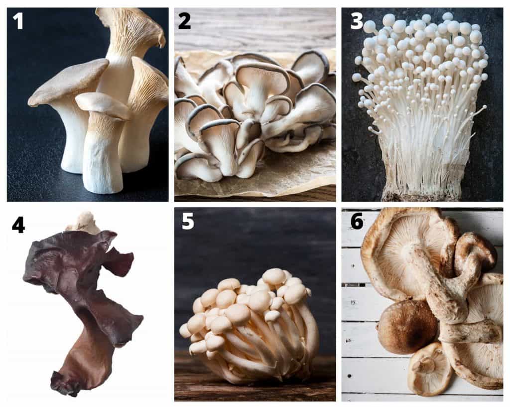 6 kinds of korean mushrooms