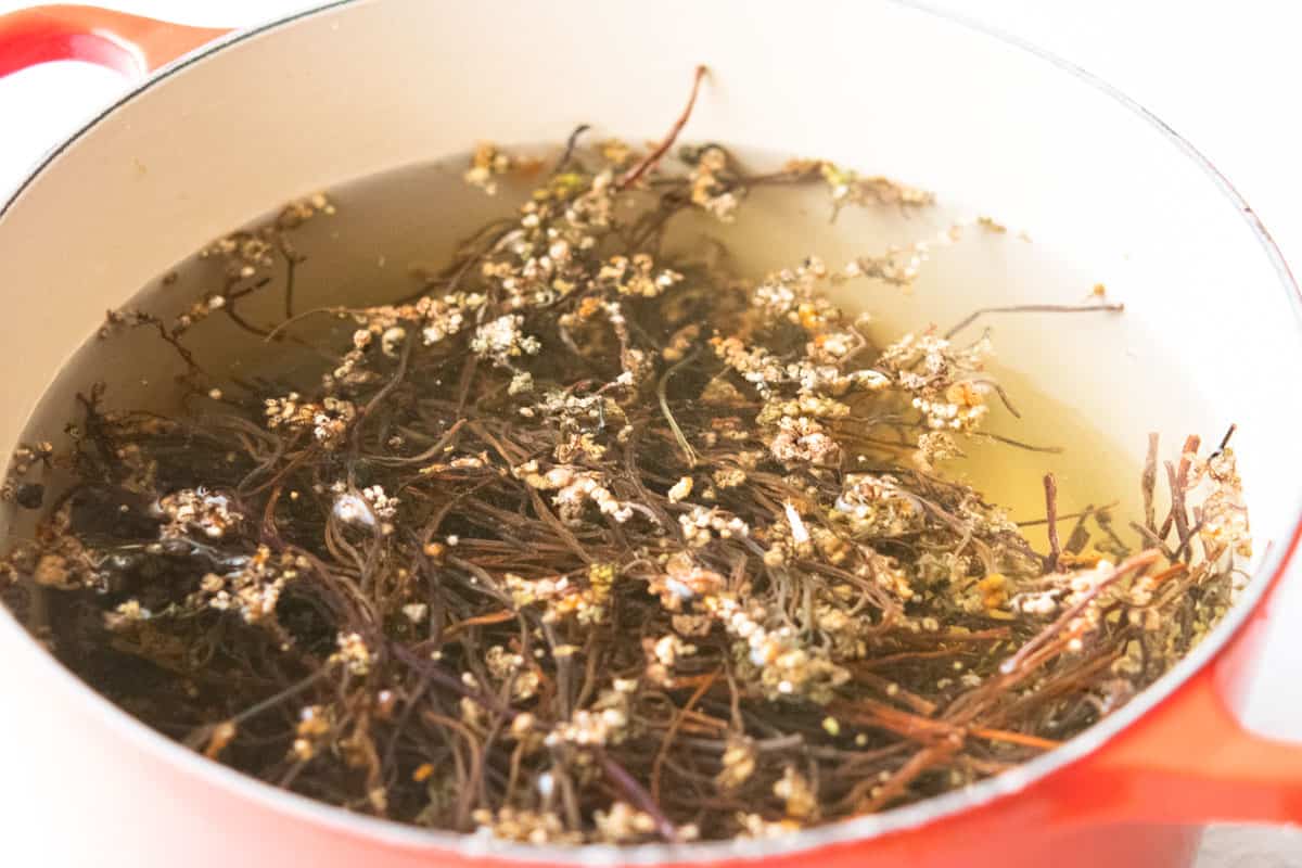 dried gosari in a red pot with water