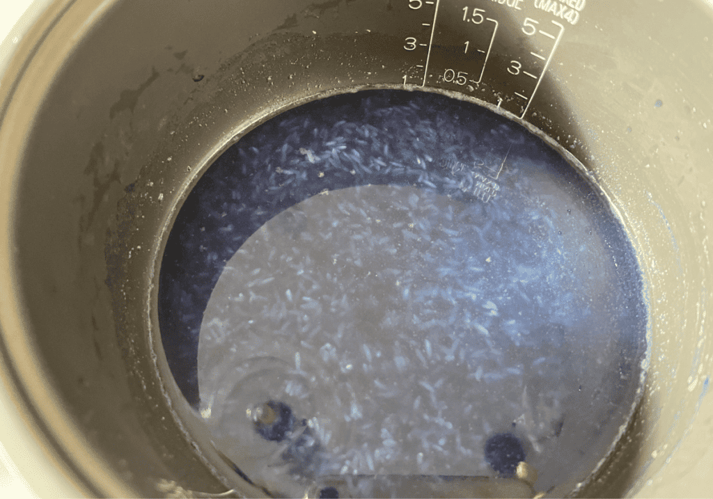 Uncooked rice in blue water in a rice cooker.