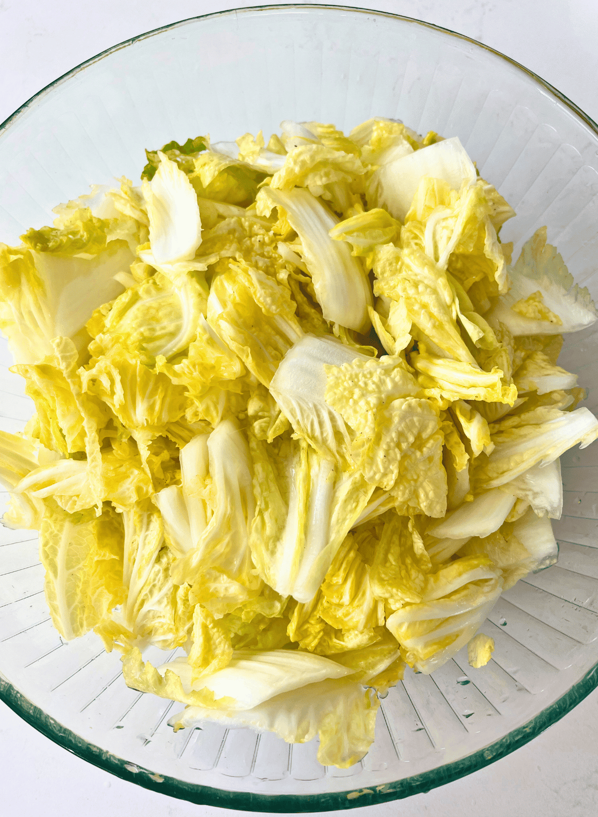 salted chunks of napa cabbage in a glass bowl