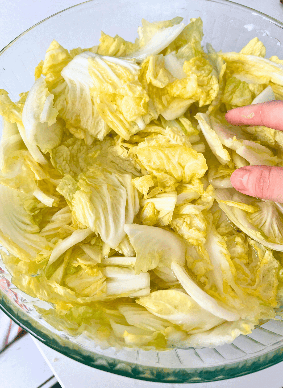 hand touching salted napa cabbage in a glass bowl