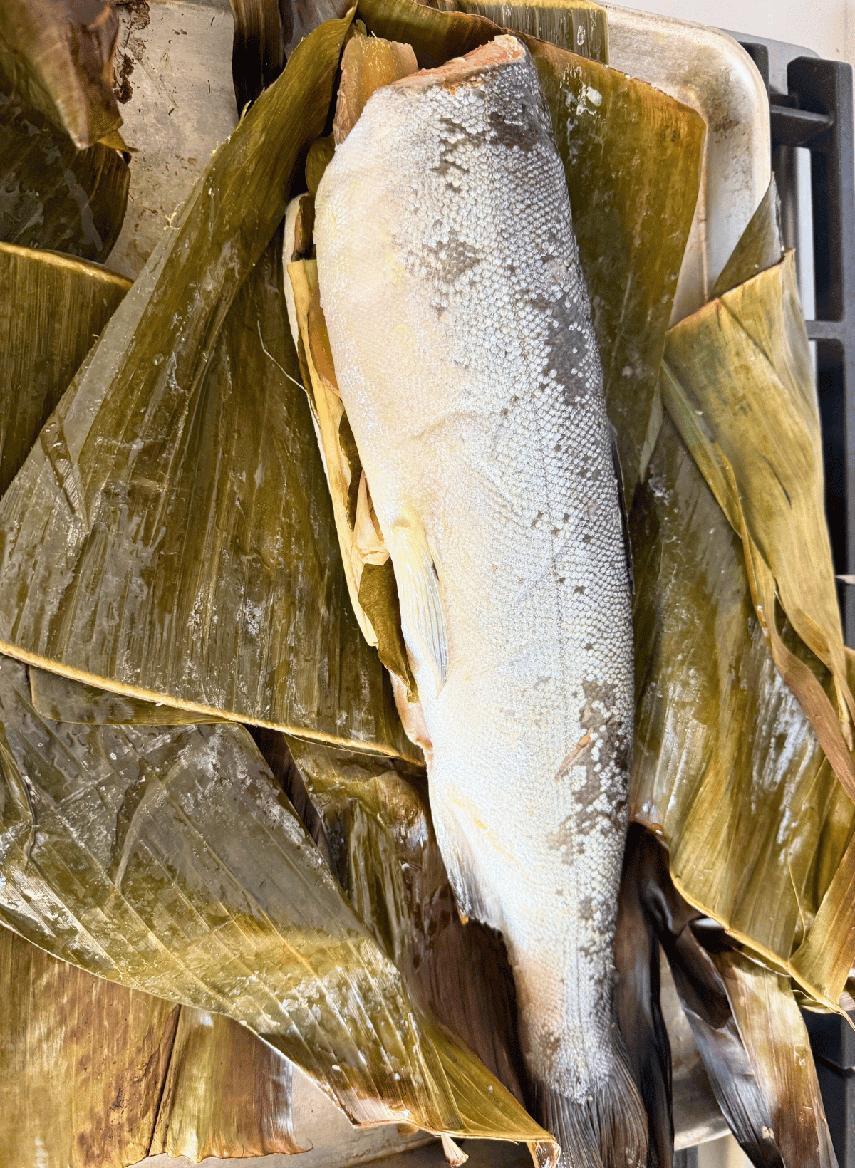 cooked coho salmon fillet with banana leaf wrappings on a sheet pan