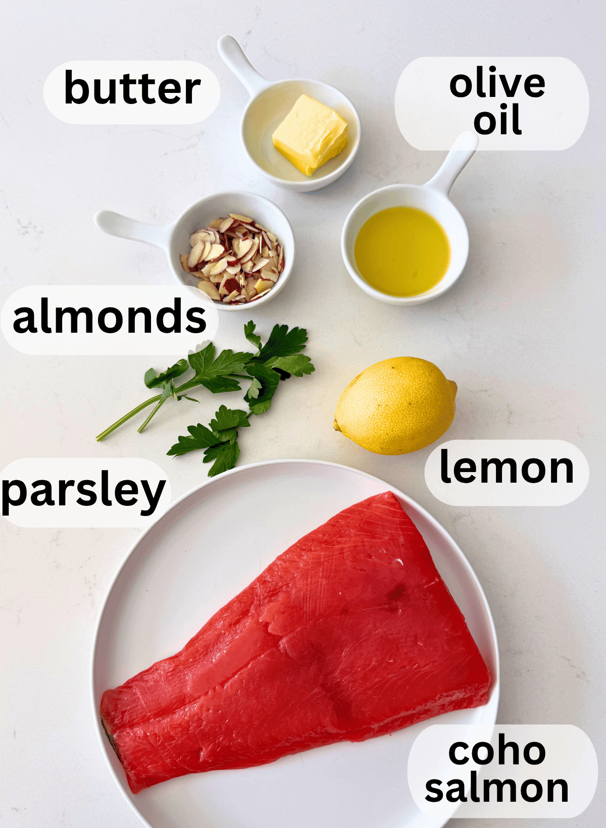 labeled ingredients for salmon almondine